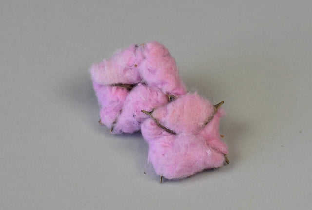 Image for Flori de bumbac roz deschis