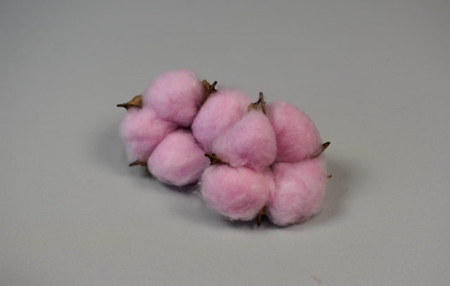 Image for Flori de bumbac roz deschis