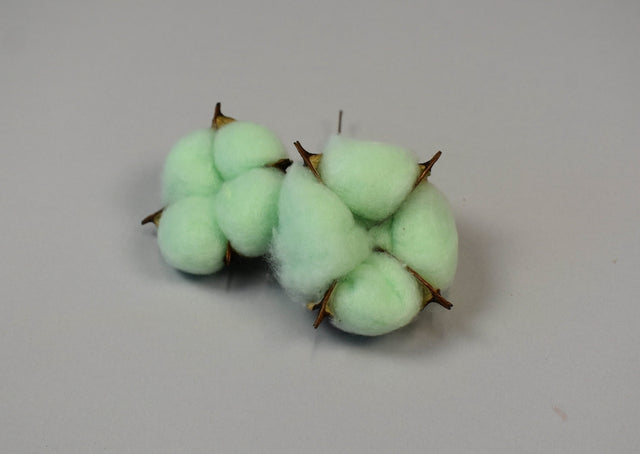 Image for Flori de bumbac verde deschis