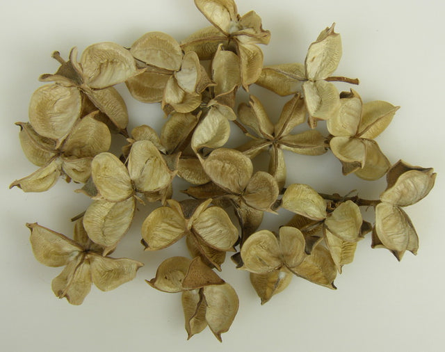 Image for Roade bumbac natur