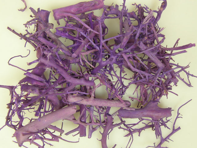 Image for Bucati de radacina mov