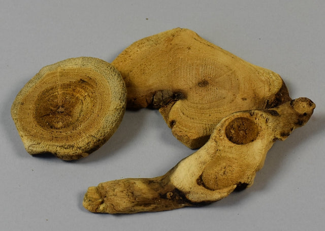 Image for Bucati de radacina natur deschis