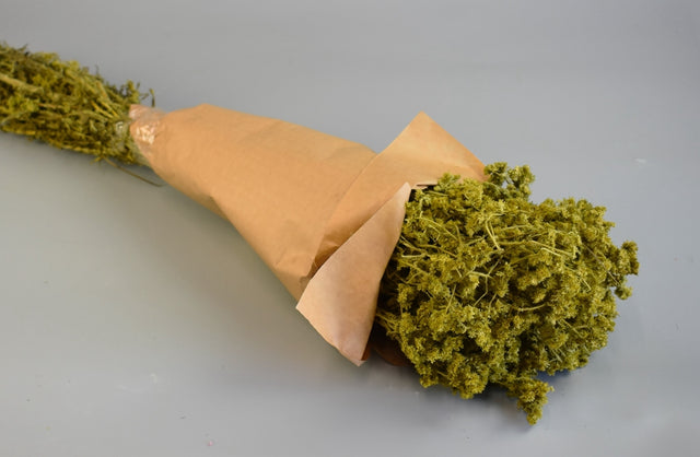 Image for Limonium 80gr verde