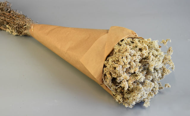 Image for Limonium 80gr natur