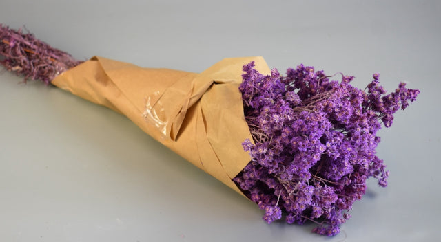 Image for Limonium 80 gr mov deschis