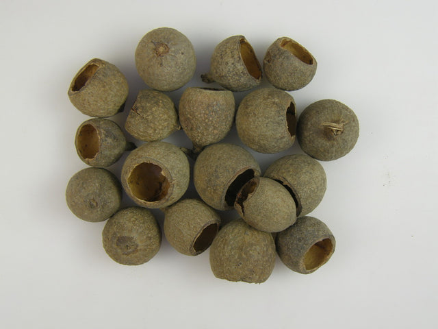 Image for Bell cup natur cal.II