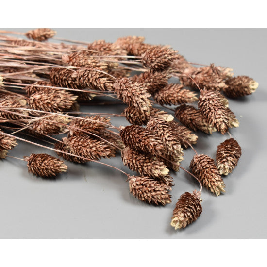 Tallaris 100g brumat maro