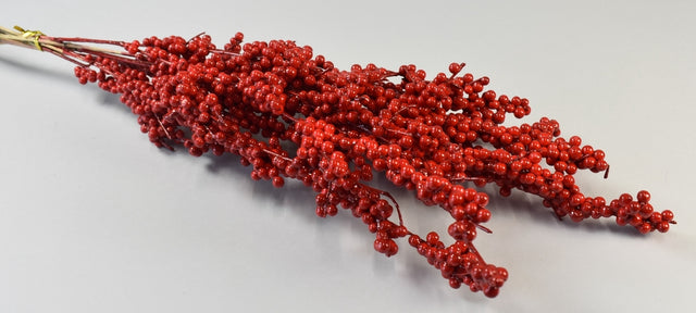 Image for Creanga Ilex 60cm rosu