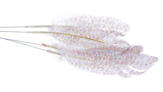 imagine produs Pick pene s/4 can7a003