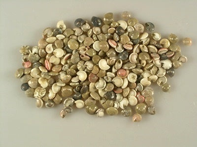 imagine produs Pambookan-koldokcsiga mix natur 1kg