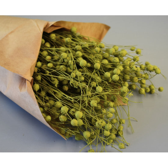 In 100gr vopsit verde oliv in hartie