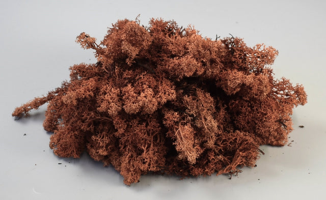 Image for Muschi izlanda 0,25kg maro