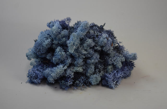 Image for Muschi Islanda albastru 0,25kg