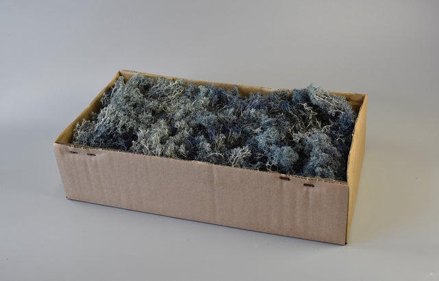 Image for Muschi Islanda 500gr albastru