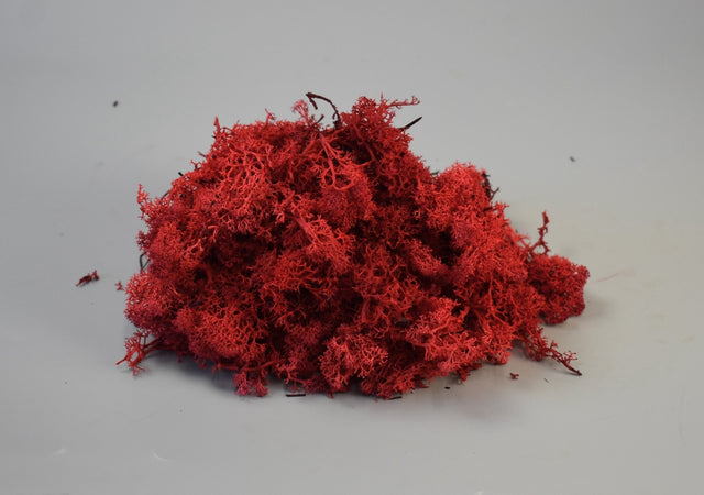 Image for Muschi Islanda rosu 0,25kg