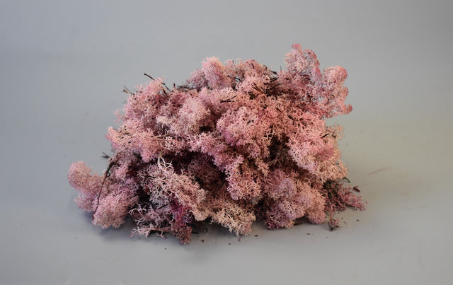 Image for Muschi Islanda roz 0,25kg