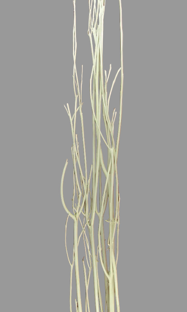 Image for Creanga salcie japoneza inalbit