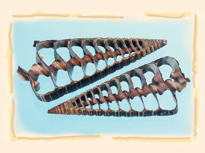 Image for Felii de melc Cobram natur