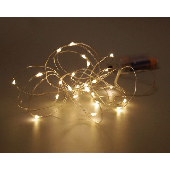 Ghirlanda leduri 2,5m-25led