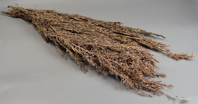 Image for Asparagus uscat 250gr cu chiciura roz