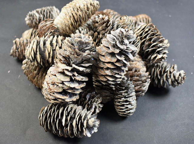 Image for Conuri chinezesc alungit 5-6cm 1kg alb/glitter