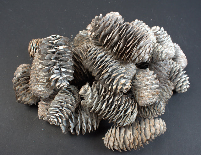 Image for Conuri chinezesc alungit 5-6cm 0,25kg inzapezit