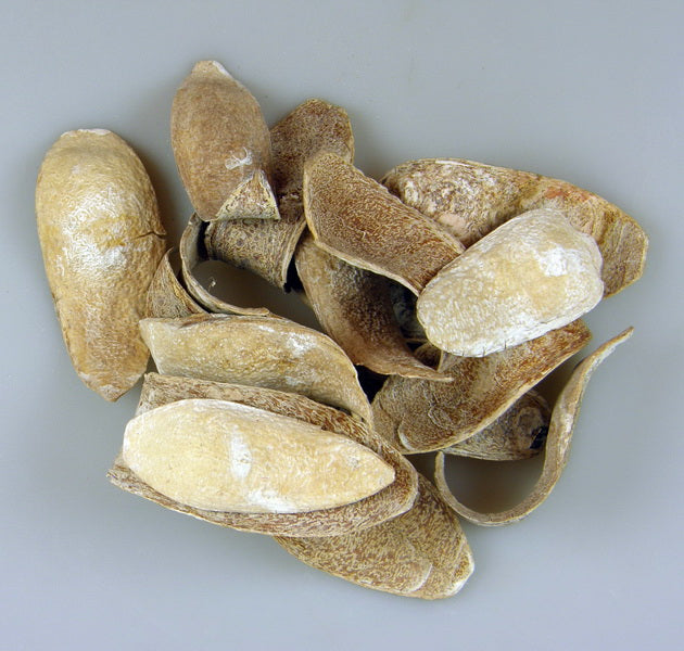 Image for Cap cobra cu chiciura