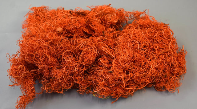 Image for Curly moos inalbit portocaliu