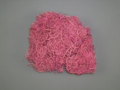 Image for Curly moos inalbit roz