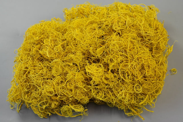 Image for Curly moos inalbit galben