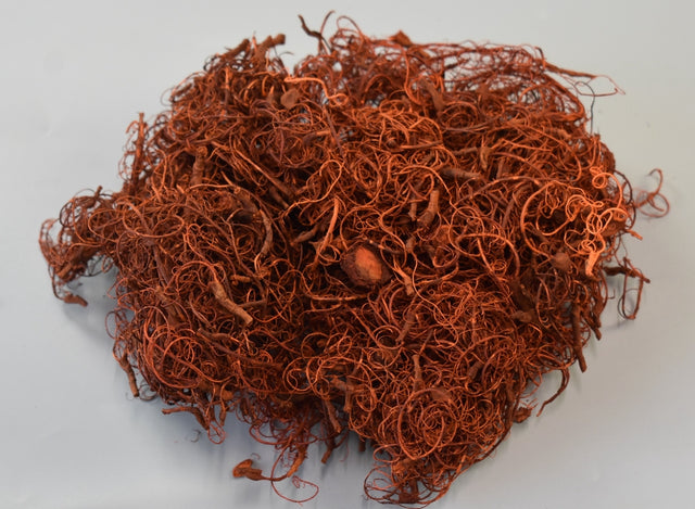 Image for Curly moos portocaliu