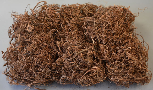 Image for Curly moos natur