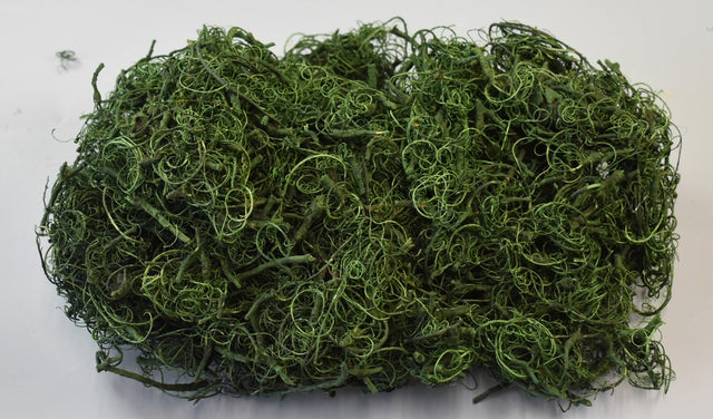 Image for Curly moos verde inchis