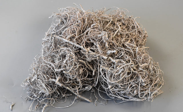 Image for Curly moos cu chiciura