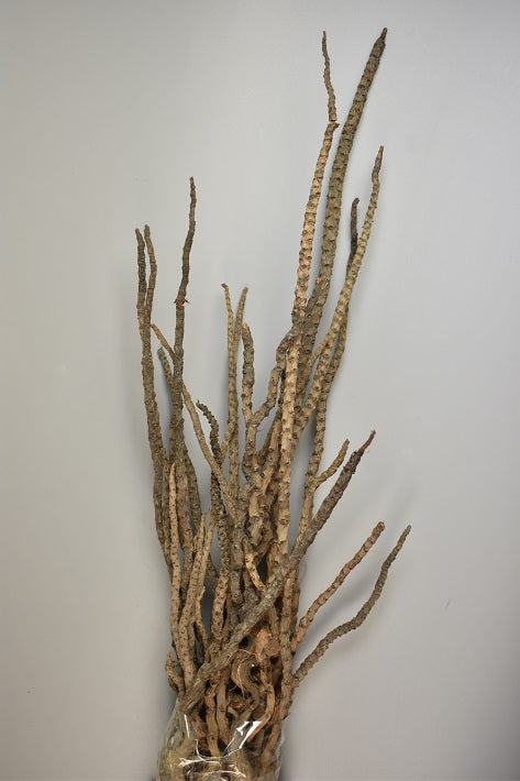 Image for Legatura creanga cocos natur