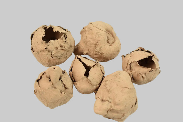 Image for Cocos mini vopsit cappuccino