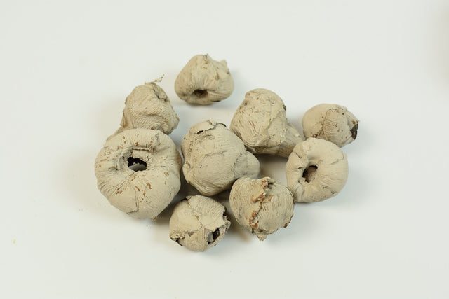 Image for Cocos mini vopsit gri