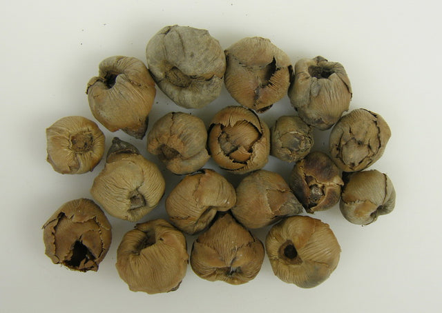 Image for Cocos mini natur