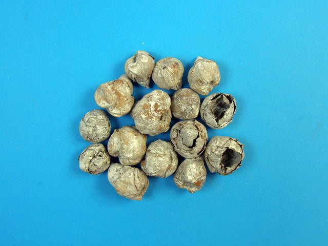 Image for Cocos mini cu chiciura