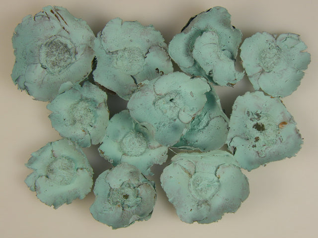 Image for Flori de cocos vopsit aqua