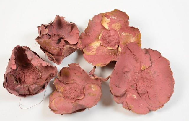 imagine produs Floare de cocos vopsit