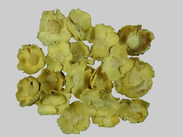 Image for Flori de cocos crem