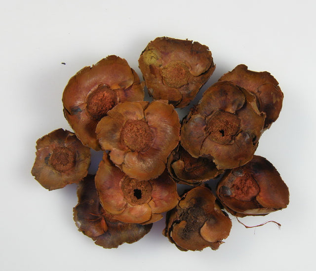 Image for Flori de cocos portocaliu