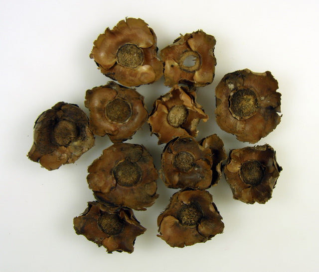 Image for Flori de cocos natur