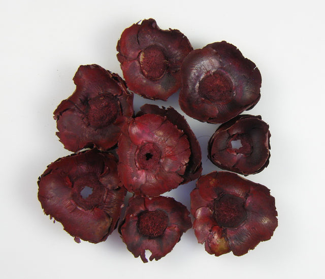 Image for Flori de cocos rosu