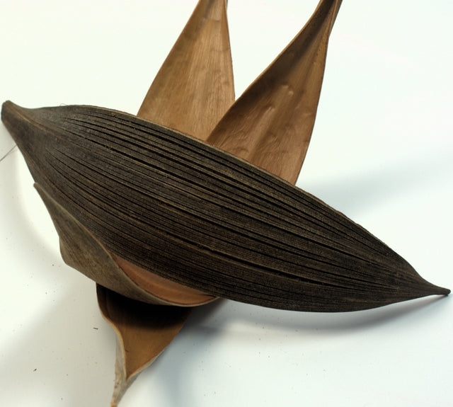 Image for Barci de cocos 15-25cm natur