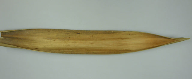 Image for Barci de cocos 60-70cm natur