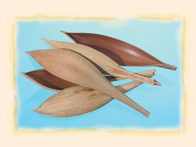 Image for Barci de cocos mini natur