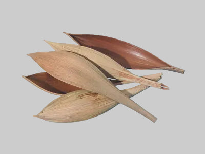 Image for Barci de cocos mini natur