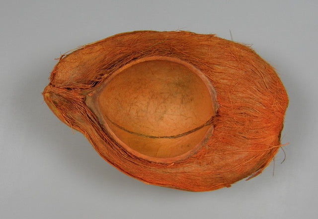 Image for Nuca de cocos half vop. portocaliu